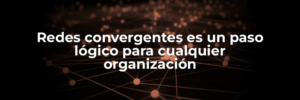 articulo1_contenido3